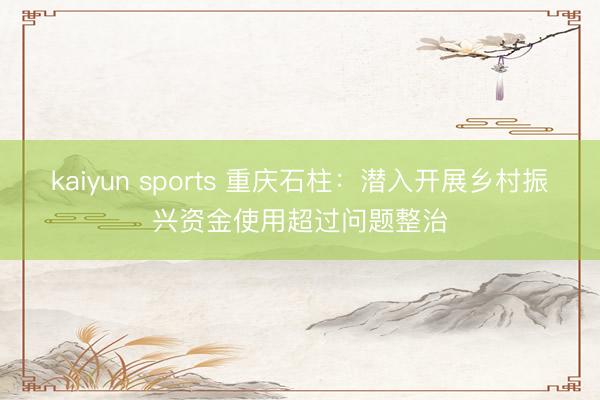 kaiyun sports 重庆石柱:潜入开展乡村振兴资金使用超过问题整治