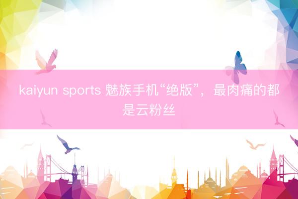 kaiyun sports 魅族手机“绝版”,最肉痛的都是云粉丝