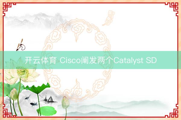 开云体育 Cisco阐发两个Catalyst SD