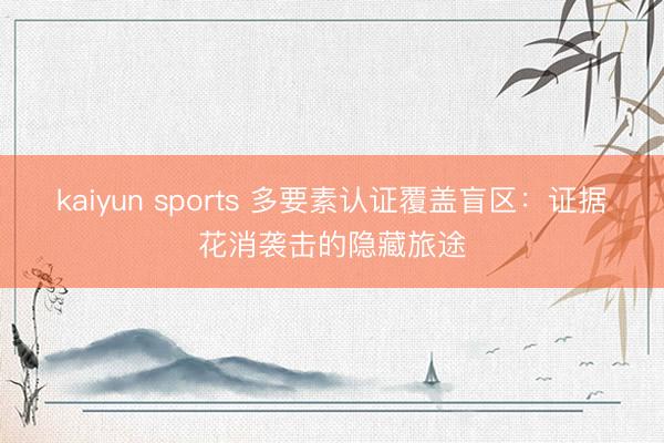 kaiyun sports 多要素认证覆盖盲区：证据花消袭击的隐藏旅途