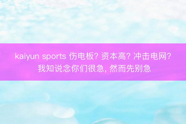 kaiyun sports 伤电板? 资本高? 冲击电网? 我知说念你们很急, 然而先别急